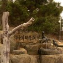 약산중학교 이미지