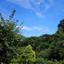 지리산털보농원 이미지