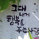 이쁜여우 이미지