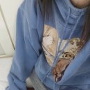 생활한복 | 한땀한땀 생활한복 [바라] 후드 후기