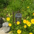 들꽃향기 펜션 이미지