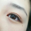 브로바이쥬 이미지