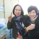 김옥자농장 이미지