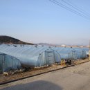 화니농장 이미지