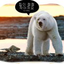 세상을쓰다 이미지