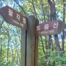 도음산 산림문화수련장 | 경북 포항 도음산 산림 문화 수련장~도음산