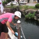 소이면사무소 이미지