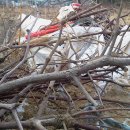 로하스농장 이미지