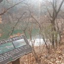 생태와대구 이미지