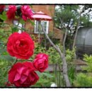 달뜨는언덕 이미지