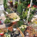 양평읍 내 남북로 이미지