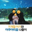 11개월 아기 웅진 플레이 아쿠아리움 방문 후기｜유모차 이동·수유실·아기 반응 정리