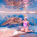 뽑뽀뽀 | 부산프리다이빙 체험 강습 모두 드랍에서 북항마리나다이빙풀 해양테스트