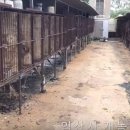 장형농장 이미지