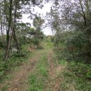 신평공원 이미지