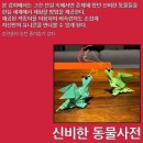 초도교