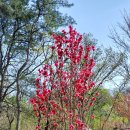 경춘로120번길 이미지