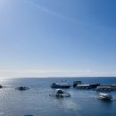 다이브11 | 여자 혼자 세부여행 마지막날 일정 네버다이브 씨엘로 마사지 막탄공항 출국 후기