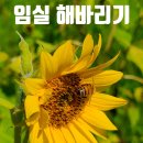 신평대리만족 힐리지 이미지