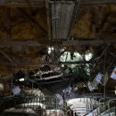 진목주유소 이미지