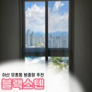 모종동 | 아산 모종동 방충망 교체 후기, 블랙스텐으로 선택하길 잘한 듯?!