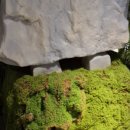 고인돌 조형물 이미지