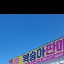 둥지농원 이미지