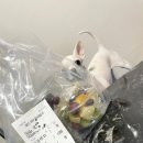 논현 과일 배달 형제들이 파는 과일 브룻츠 논현점