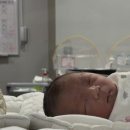 뽀송하개 재워줄개 | 둘째는 없을 제왕절개 후기 1일차