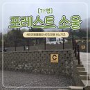 포레스트소울 | [경기/가평] 캠핑장 추천 '포레스트 소울' 내돈내산 후기(1) :: 애견동반/노키즈/2인전용/신설캠핑장