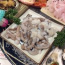 꽃새우 영번지 이미지