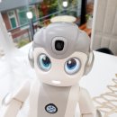 로봇카페폭시앤로즈