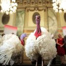 백악관여관 이미지