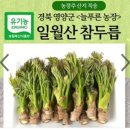 최석구농장 이미지