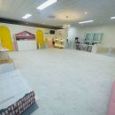 콩몽이네 이미지