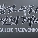 누리태권도장 이미지