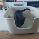 모래울화장실 이미지