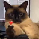 고기구워주는집 이미지