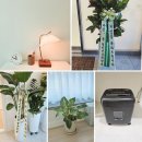 춘천정신건강의학과의원 이미지