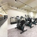 카프리짐 이미지