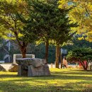 세종대학교박물관 이미지