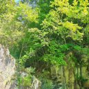 물조은펜션 이미지