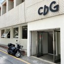 동건스애견카페 | 대구 신천동 동대구역 애견동반 신상 브런치카페 카디건 CDG