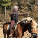 삼기농장 | 3박 4일 알차게 떠나본 계획형 인간의 제주여행 코스