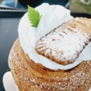 뉴욕애견 이미지