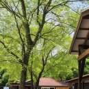 상몽농장2 이미지