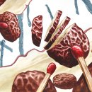 환미술학원 이미지