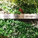 C&S PC방 | [별별선생] 노량진스터디카페 잇츠리얼타임, 솔직 방문후기