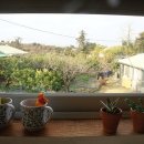 문수동그디 이미지