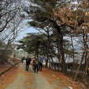 속리산둘레길 7구간 괴산 선유대-연하천구름다리-산막이옛길-율원리 미선나무군락지-쌍곡삼거리 여행기록